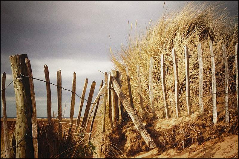 Holkham Dunes - Peter Cox.jpg
